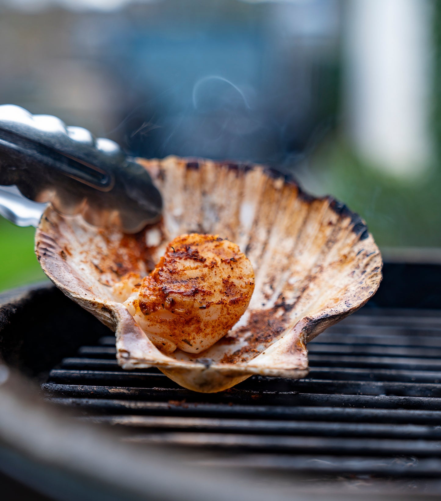 BBQ Scallops with Maple Smoked Pineapple Vinegar